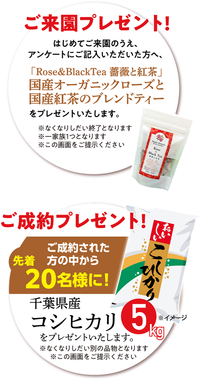 ご来園プレゼント